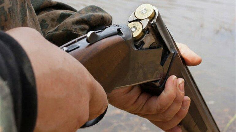  �������� ������ ��������� ��������� ��������� ����������� ���� 