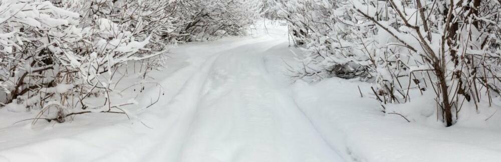 ����: 0629.com.ua