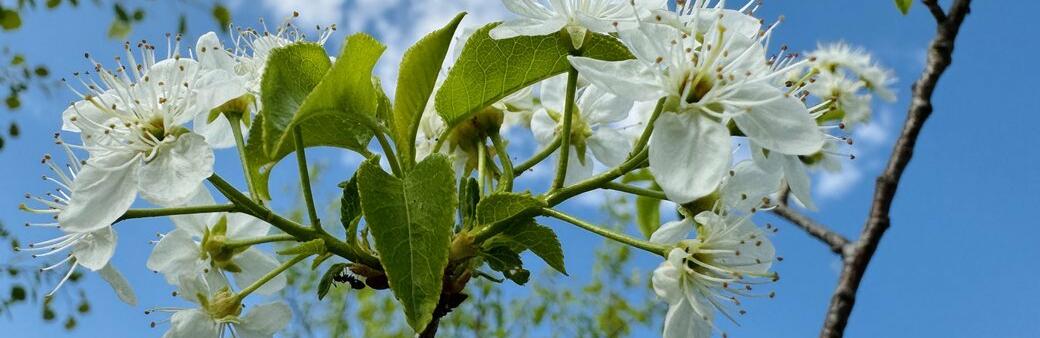 ����: 0629.com.ua