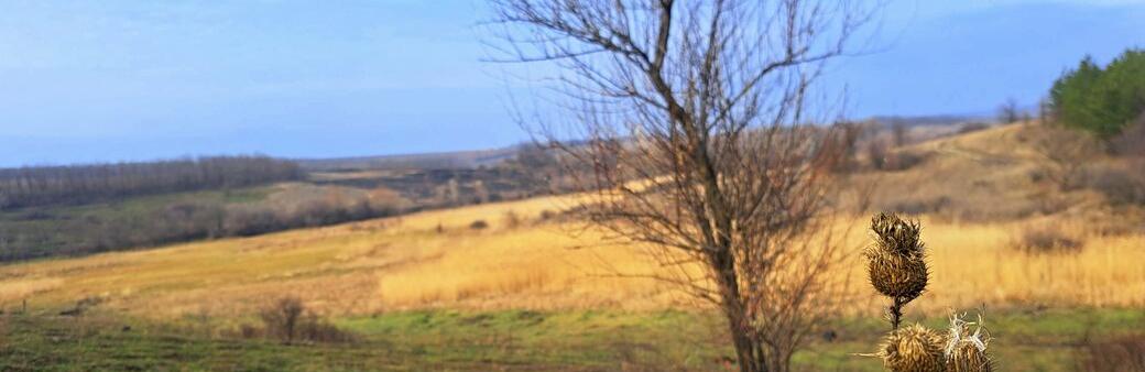  ���� ���� ������ �������� ������ ������ 