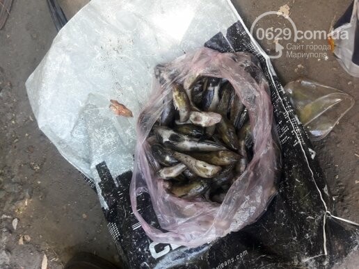  ����������� ��������� ������� ������ ��������� ������ 