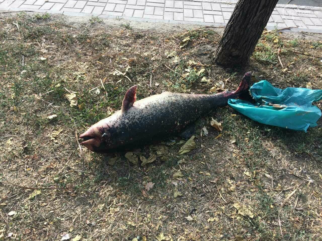 ����: 0629.com.ua