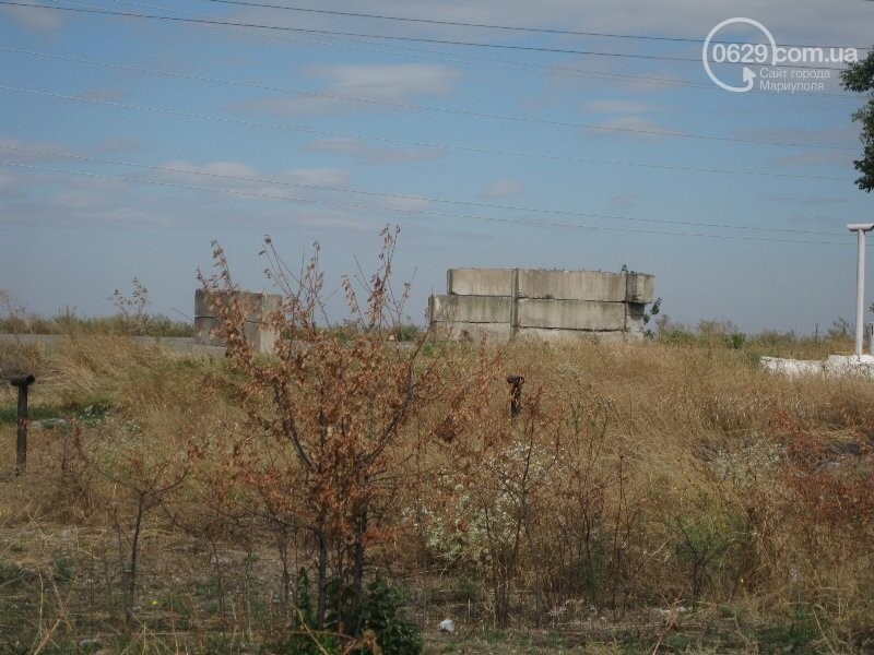 img_1495_141127539151