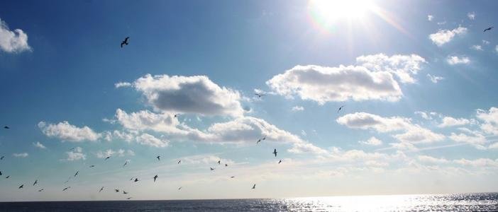 ����: 0629.com.ua