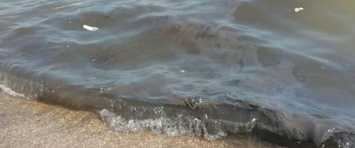  ����� ��������� ����� ��������� ���������� ��������� 