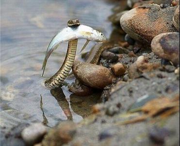 ����: 0629.com.ua