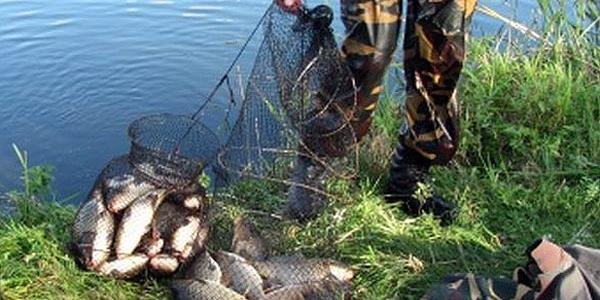 ����: 0629.com.ua