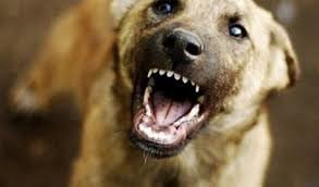  ��������� �������� ������ ������� ������� 