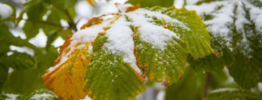 ����: 0629.com.ua