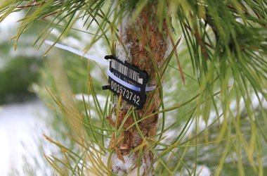  ��������� ��������� ���� ����������� ��������� ���������� 