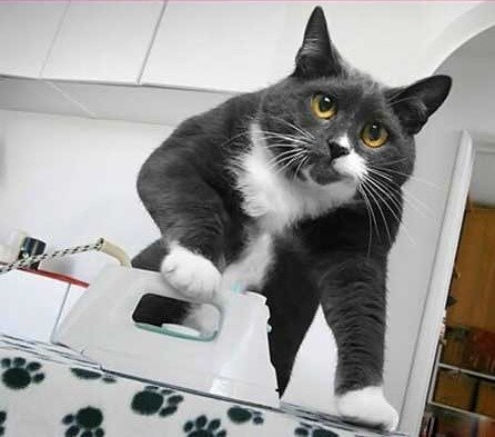 ����: 0629.com.ua