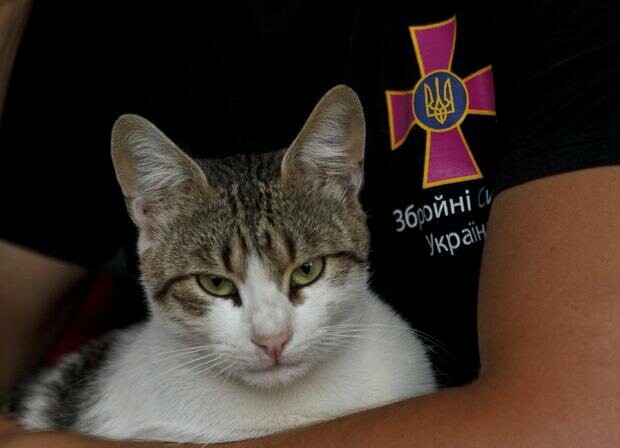  ������ ������ ������ 