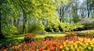 ����: 0629.com.ua