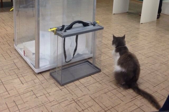 ����: 0629.com.ua