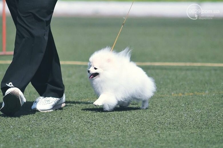 ����: 0629.com.ua