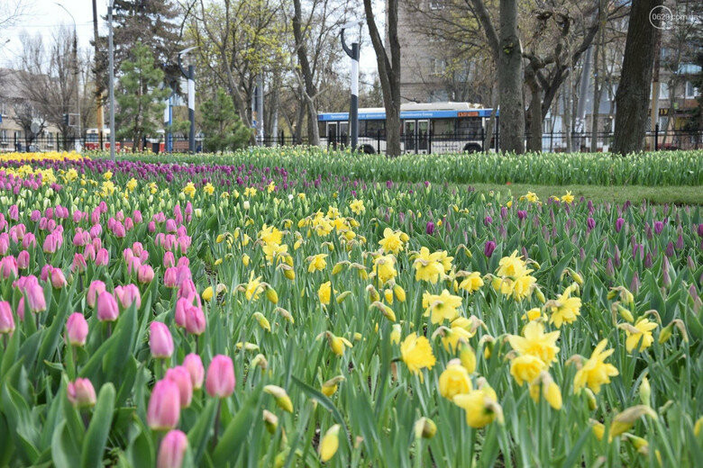  ������� ������ ��������� ��������� ����� �������� 