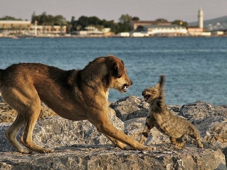  ������������ ��������� ��������� �������� 