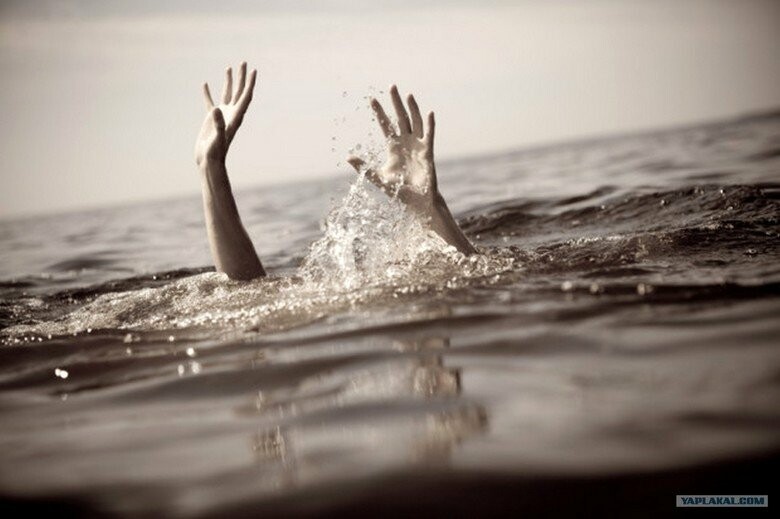  ������� ������ ���� ������� 48-������ ������� 