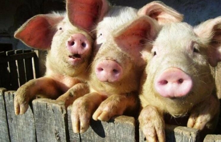  ��������� ������ ������� ������������� ������ ��������� ��������� 