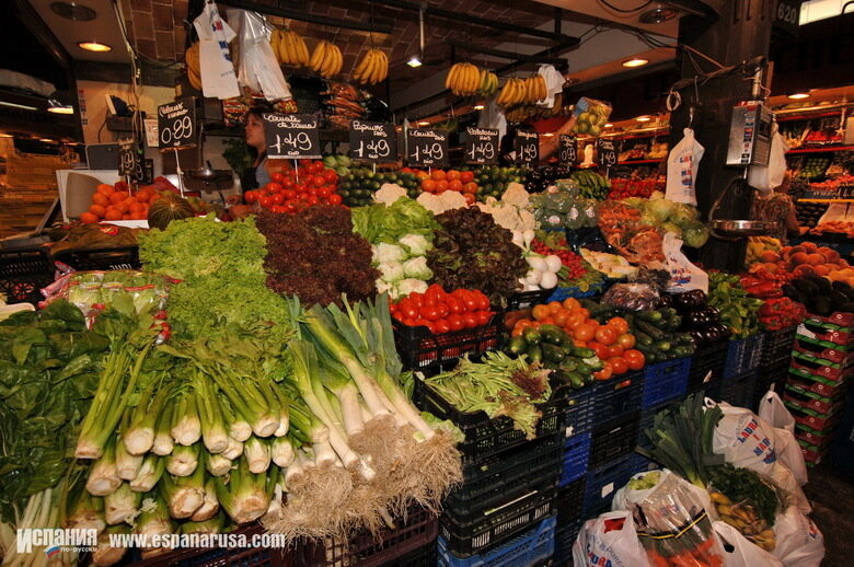  �������� ������� ���� ���������� ���� ����� ���������� ������ 