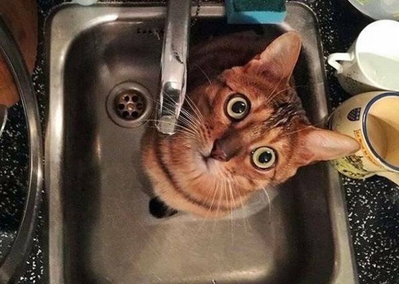  ������ ��������� �������� ���� 