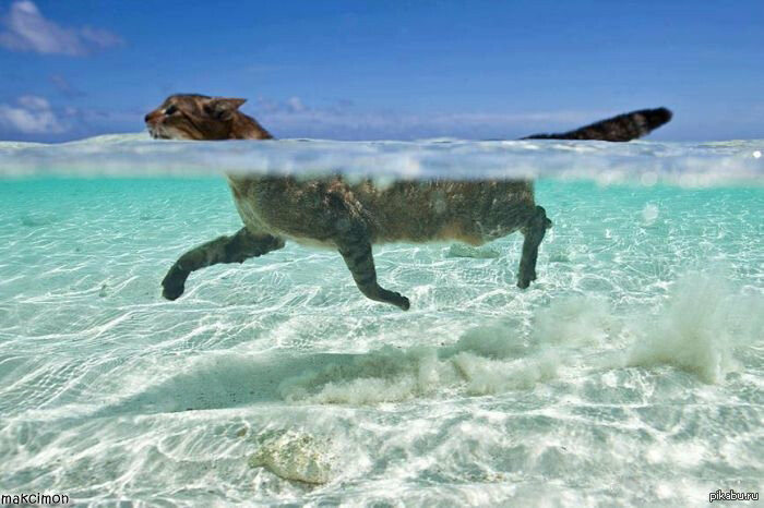  ������ ���� ������ 