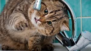  ������ ��������� �������� ������������� ���� 