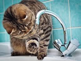  ����� ���� ��������� ��������� �������� ���� 