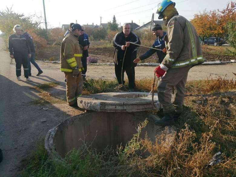  ���������� ������� ���� 