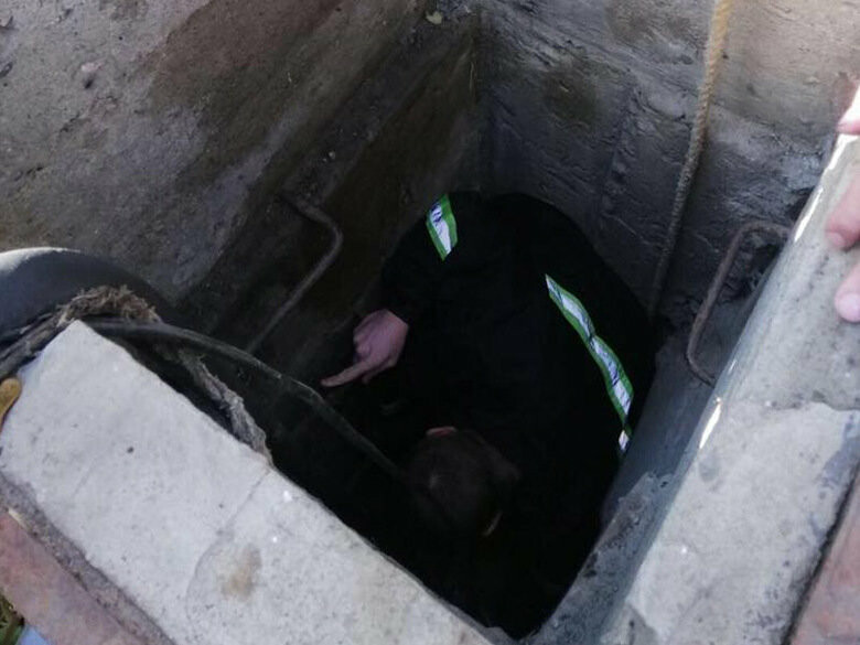  ���������� ������� ������� ��������� 