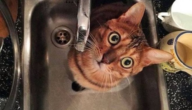  ��������� ���� ������� ���������������� ���� 