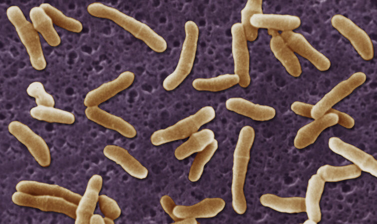 ����: 0629.com.ua