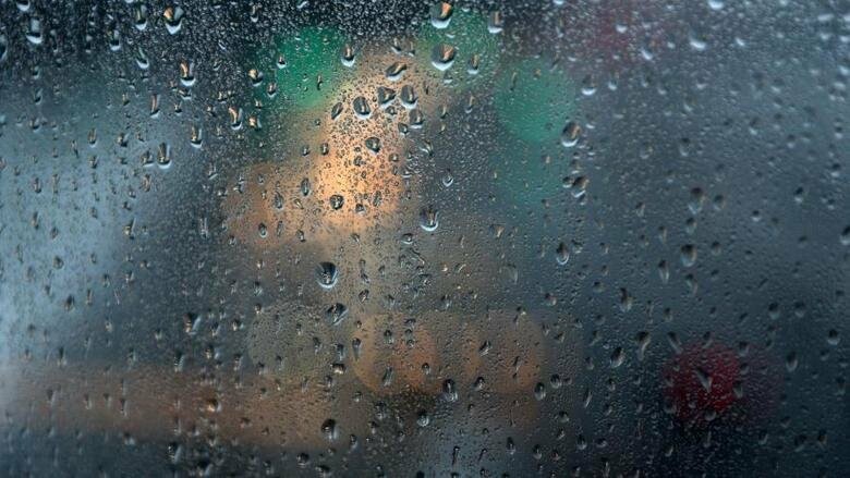  ������ ��������� �������� ��������� ������ 