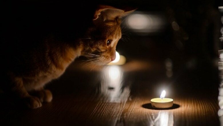  ������ ���� ������� ��������� �������� ��������� ����� ������ 