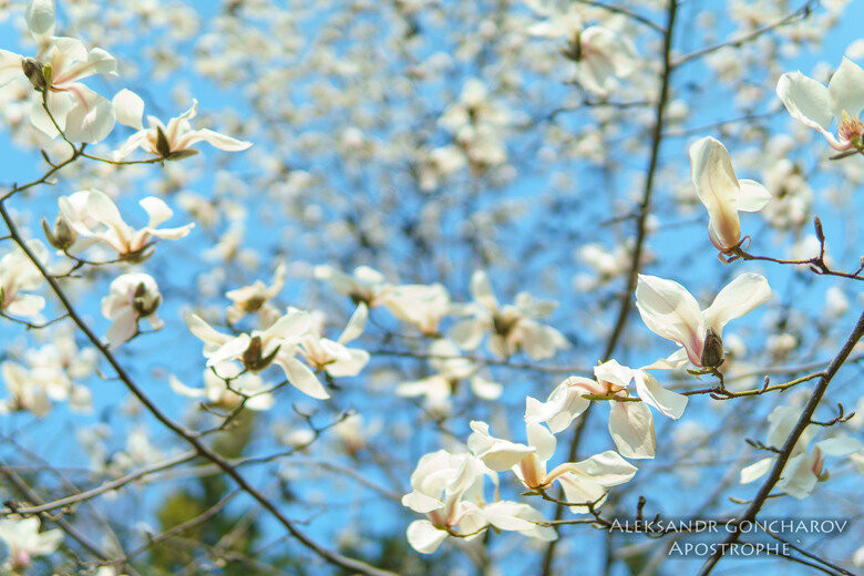  ��������� ��������� ����� ������ �������� �������� ����� 