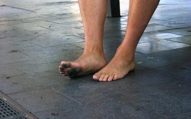  ������ ���� ������������ ������ ����� ������� �������� ������ 