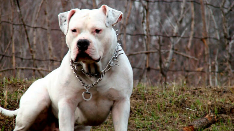  ���������� ������� ������ ������ ����� ����� 