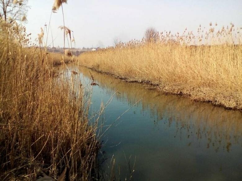  ���� ��������� ���������� ���� ������� 