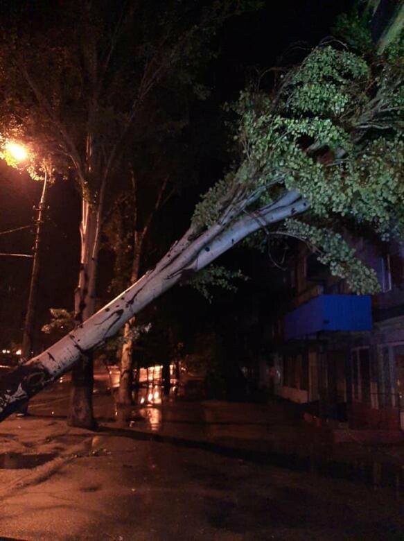  ������ ����� ������� ��������� �������� ����� 