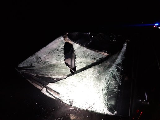  ���������� �������� ���������� ���� ������ ���� 