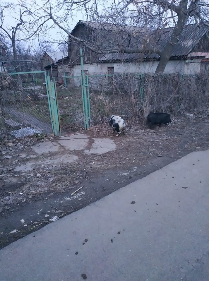  ������ ��������� �������� ������ ����� 