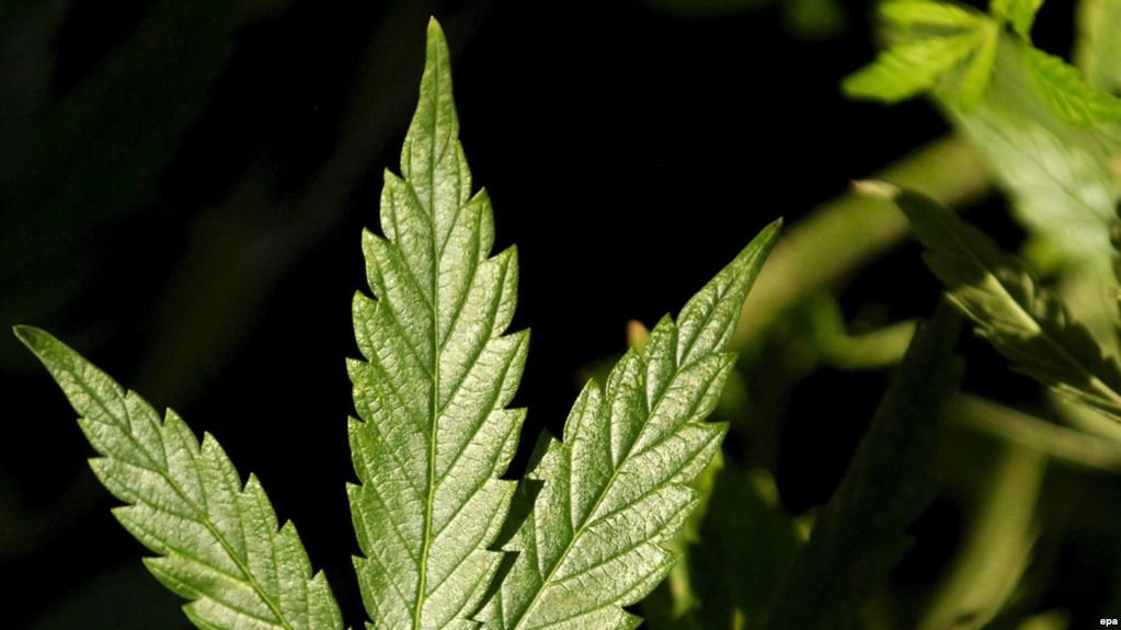  ������ �������������� ���������� ��������� ������ ������ ������ 