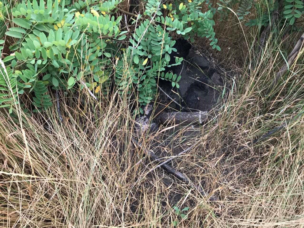  ���������� ������� ��������� 85-�� ��������� ���� 