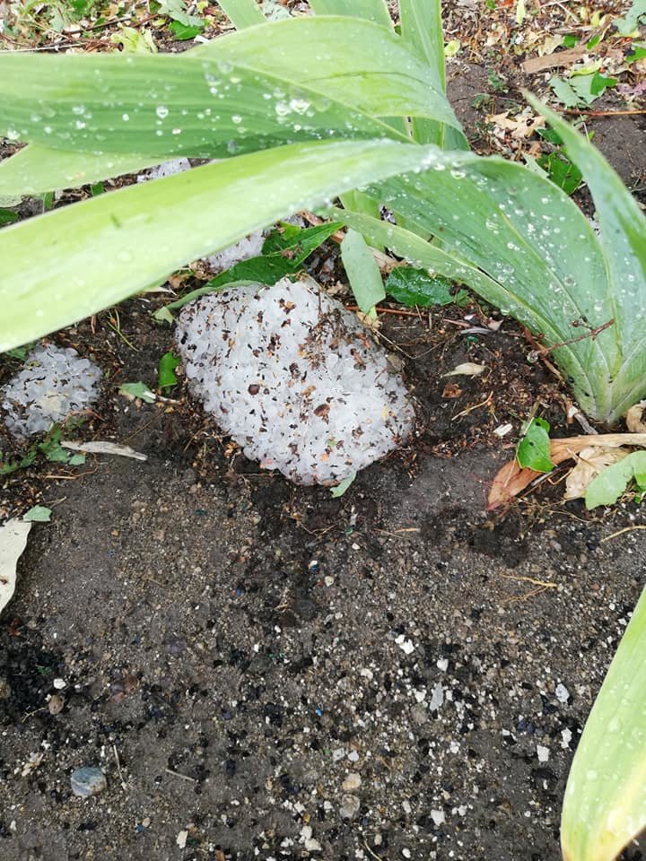  ���������� ����� ���� �������� 