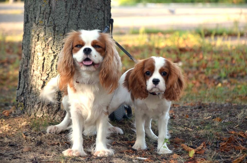 ����: 0629.com.ua