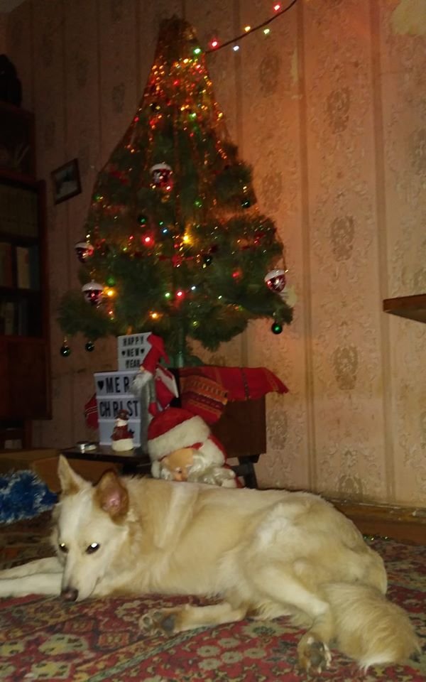 ����: 0629.com.ua