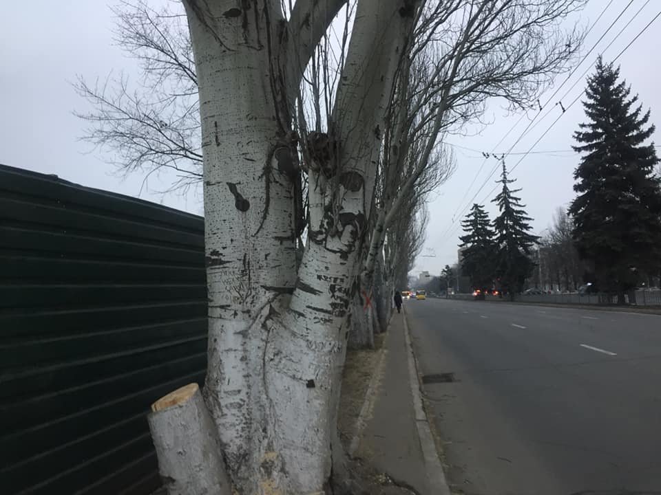  ������� ������ ���� ������������� ������ ������� ������� ���� 