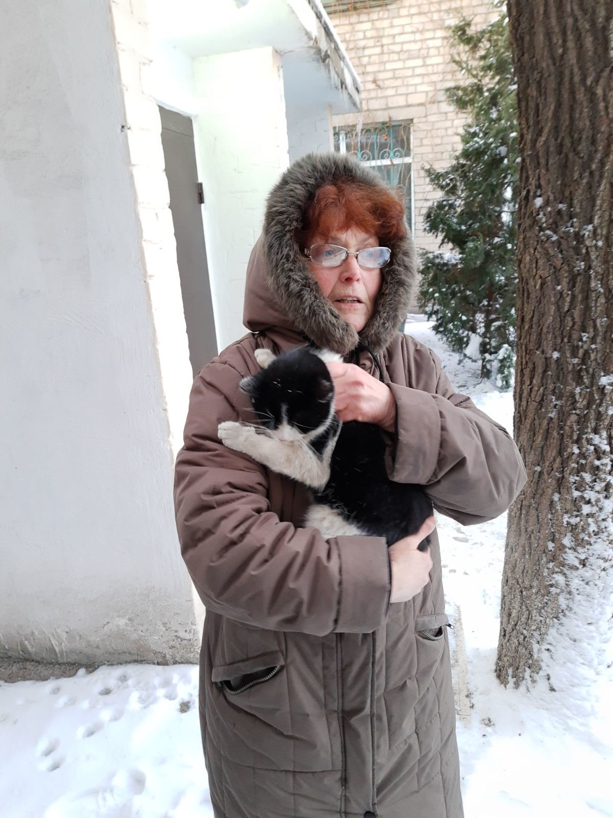  ��������� ������ ���� ����� �������� ����� ���� 