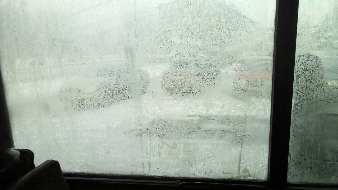  ��������� ��� ������ ���������� ������������ �������� ���� 