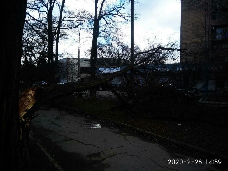 ����: 0629.com.ua